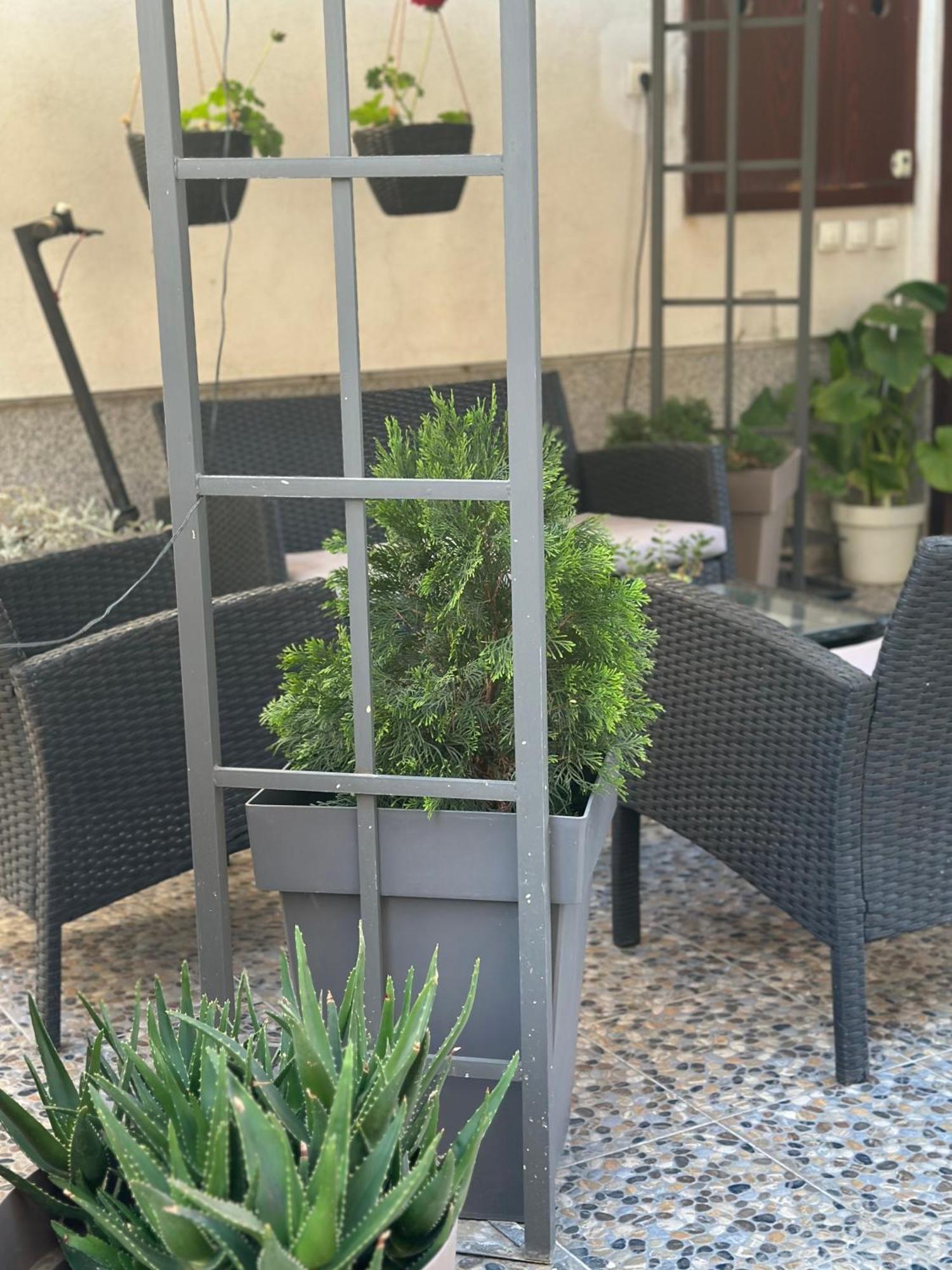 Lilyy Lägenhet Leskovac  Exteriör bild